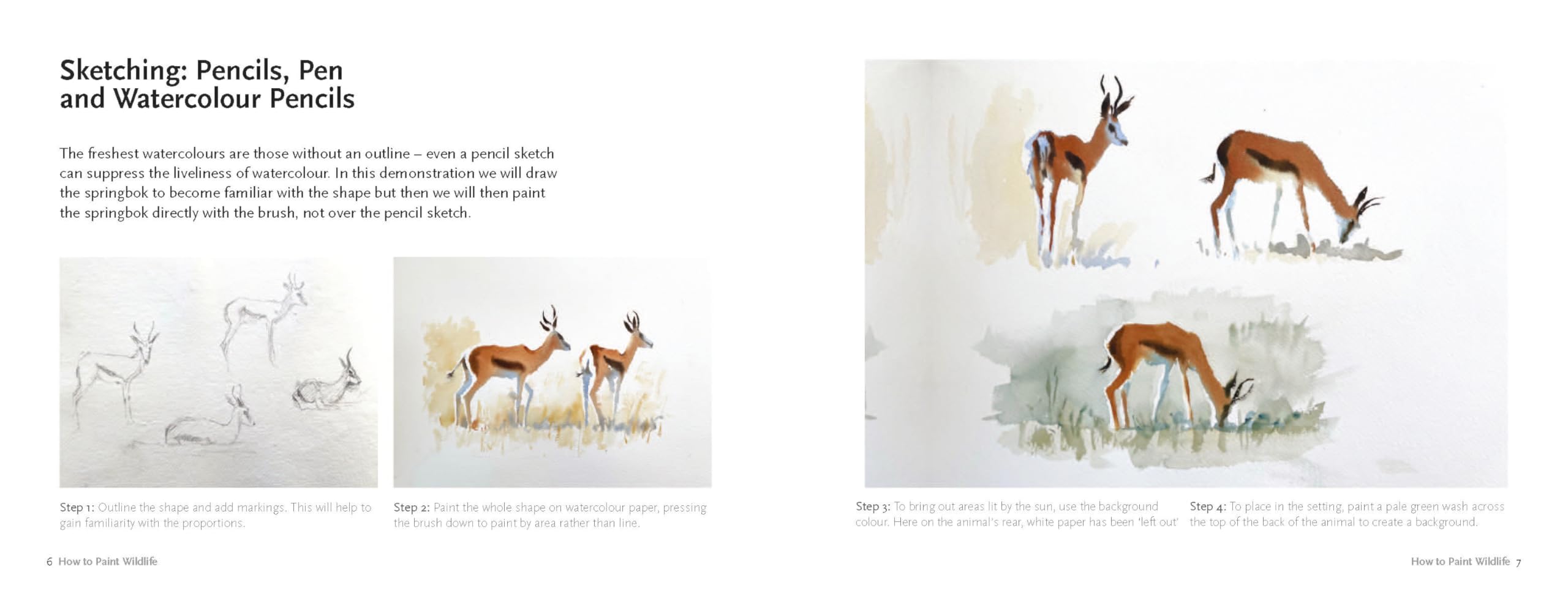 Learn to Paint Wildlife Quickly