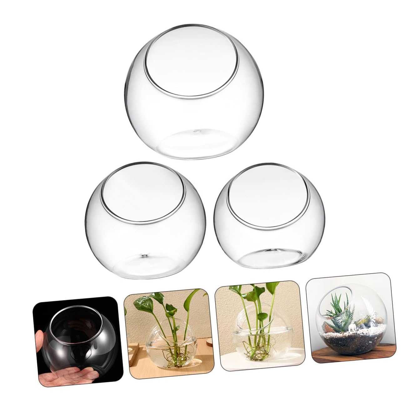 Contenitore Terrario in Vetro 3 Pezzi da 10-135 CM per Micro Paesaggi Bottiglia Ecologica Fai da Te per Piante Succulente da Tavolo e Decorazione Naturale Interna