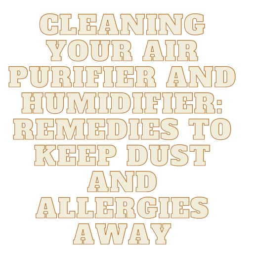CLEANING YOUR AIR PURIFIER AND HUMIDIFIER: REMEDIES TO KEEP DUST AND ALLERGIES AWAY.
