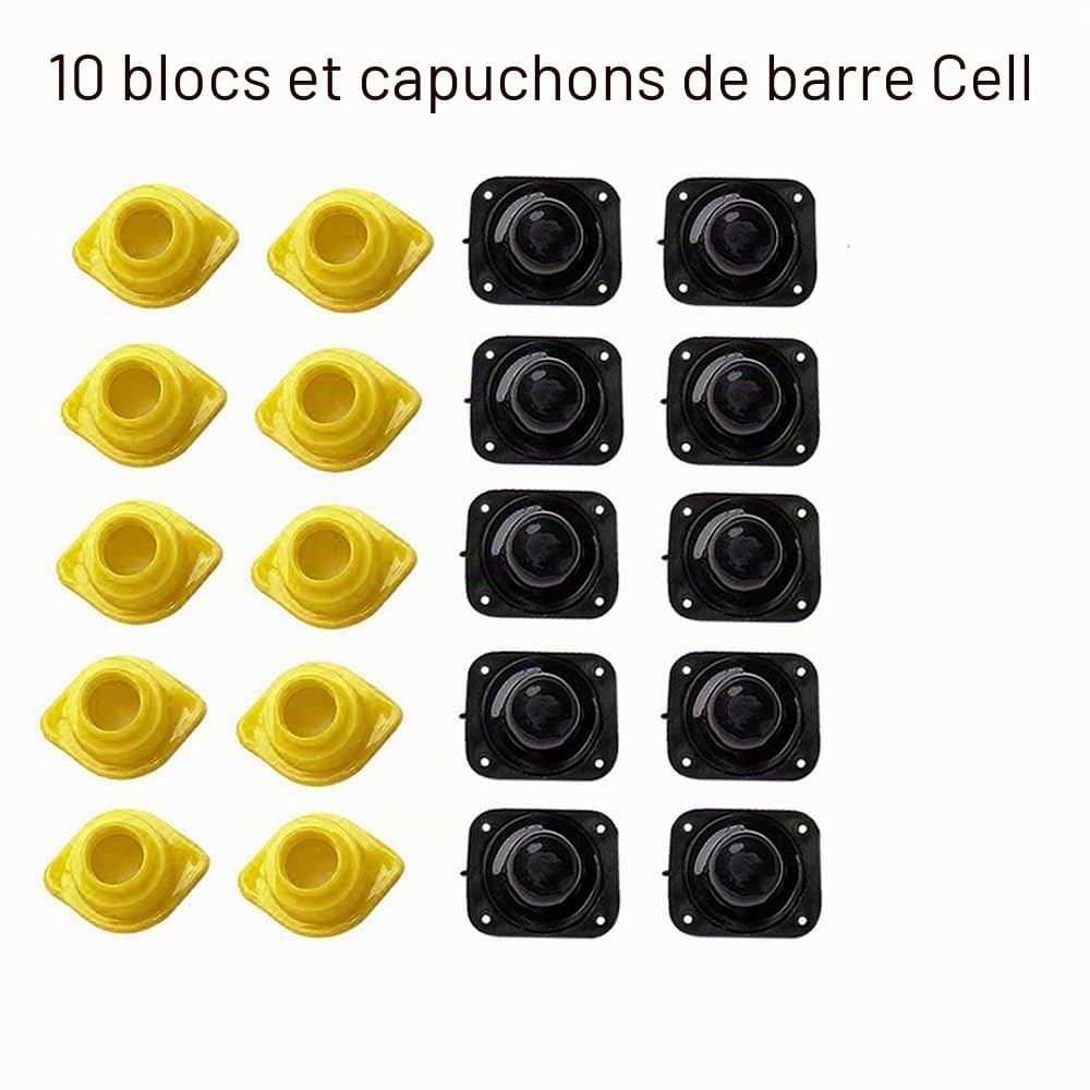 Kit elevage commplet Reines avec système Nicot pour Apiculture Outils d'élevage Reine des Abeilles