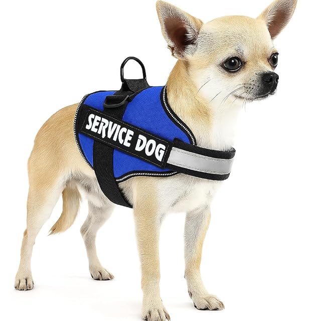 Foto 2 de 7 de Arnés para Perros Ajustable con Asa y Reflectantes