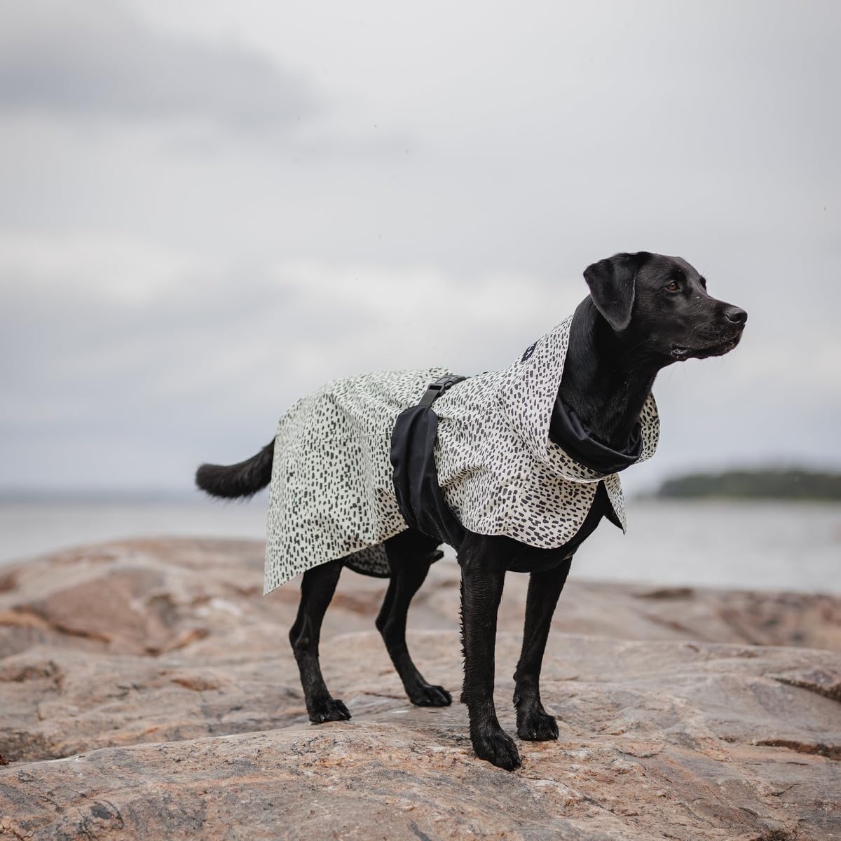 Hunde Regenmantel Raincoat“ 2.0 (Rückenlänge: 30 cm)