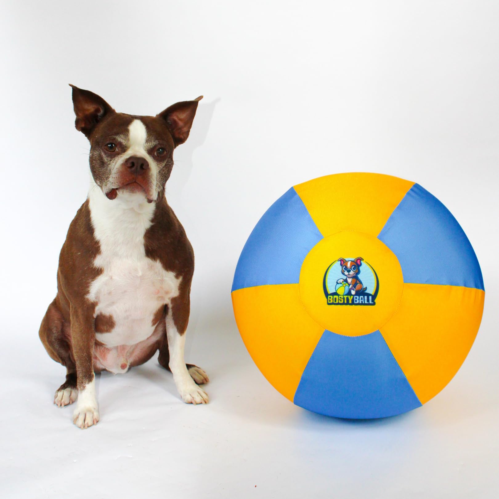 Bosty Ball LITE – 16" Herding Ball for Dogs | Light Play Toy for Medium to Large Breeds | Indoor/Outdoor Chase Ball | Not a Chew Toy