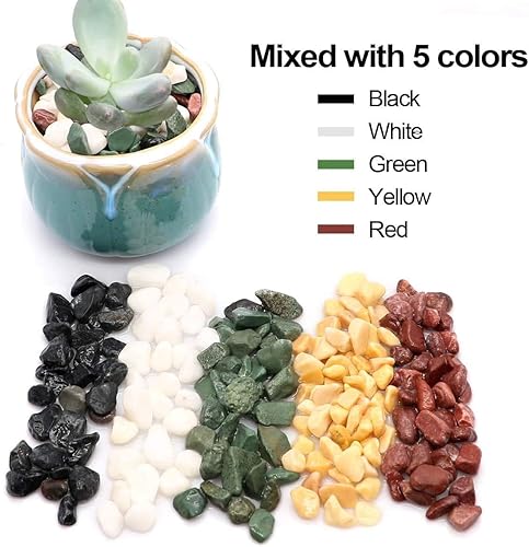 Miniatura 3 de Piedras de grava para suculentas y cactus de 6 libras, piedras pulidas decorativas naturales de 15 pulgadas, rocas de río para plantas, jarrones,