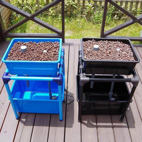 家庭で簡単に始める！アクアポニックススターターキットで安心・安全な