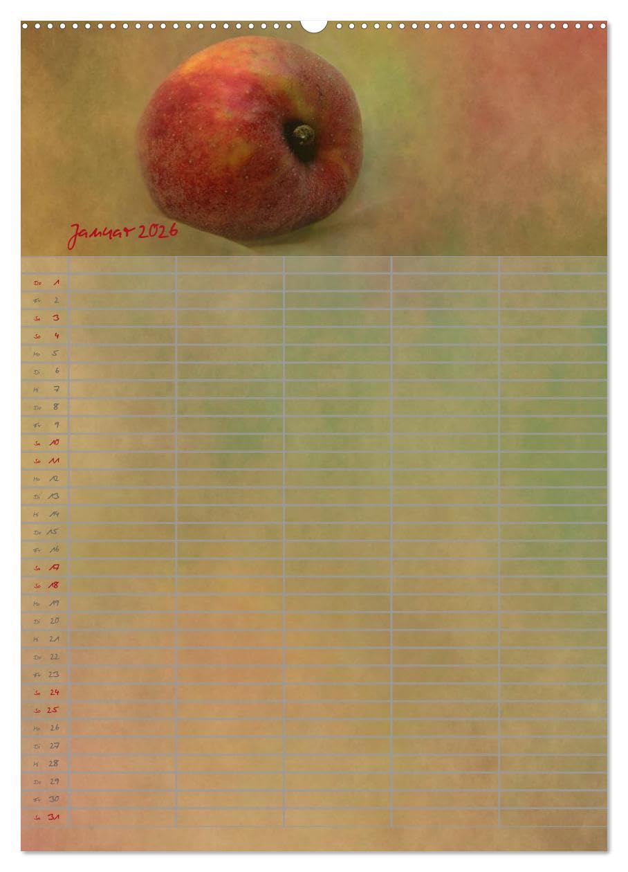 Familienplaner für die Küche. (hochwertiger Premium Wandkalender 2026 DIN A2 hoch), Kunstdruck in Hochglanz
