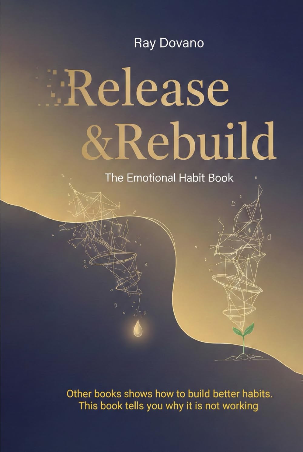 Release & Rebuild: The Emotional Habit Book