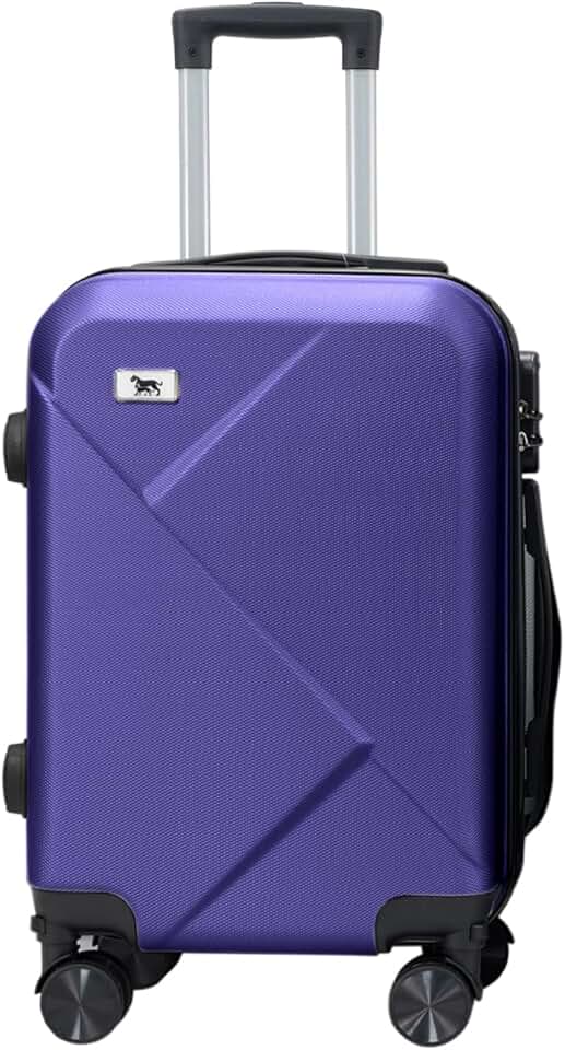 Mala De Bordo 20 Polegadas 10Kg (Roxo Escuro)