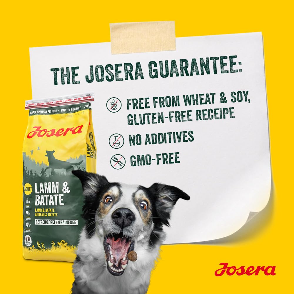 Josera Adult Lamb & Sweet Potato 12,5kg Trockenfutter für Hunde
