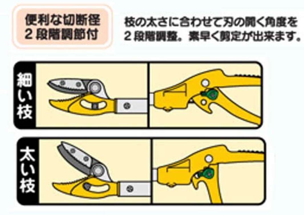 Amazon | ムサシ 高枝刈込鋏 【ポールスリム】 2段式 長刃 322 | 高枝