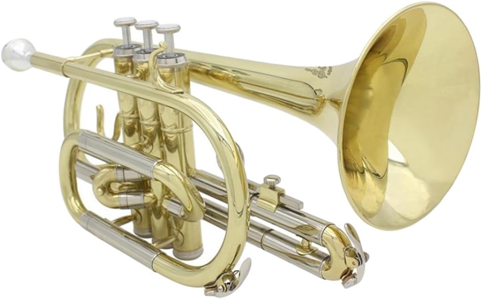 YIJU Exquisite Golden Bb Cornet Brass Instrument Set for Students Beginners : Musical Instruments