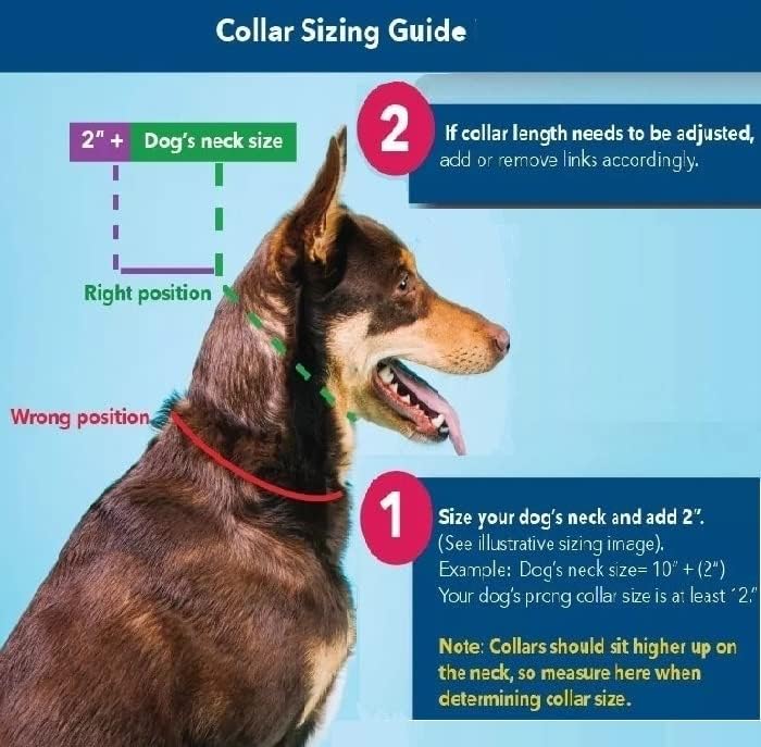 Miniatura 3 de Collar táctico para perro, resistente, ajustable, personalizado con asa y hebilla de metal para entrenamiento de policía militar, color negro (XL-L)