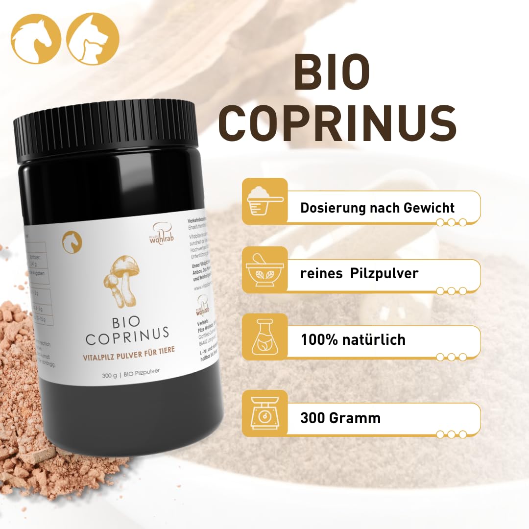 Bio Coprinus comatus Pulver für Tiere - 300 g - Reines Schopftintling Pulver - Vitalpilze - Dosierung für Tiere - 1 Dose - Höchste Bio-Qualität