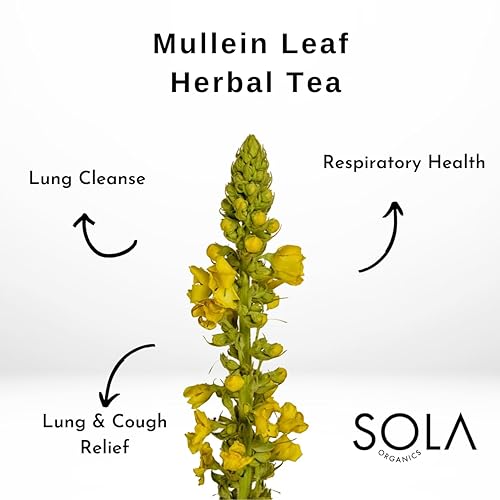Miniatura 3 de Bolsas de té de hoja de gordolobo - Limpieza pulmonar y apoyo respiratorio Té sinusal, sin cafeína, tés de hierbas para la tos, la digestión y el té