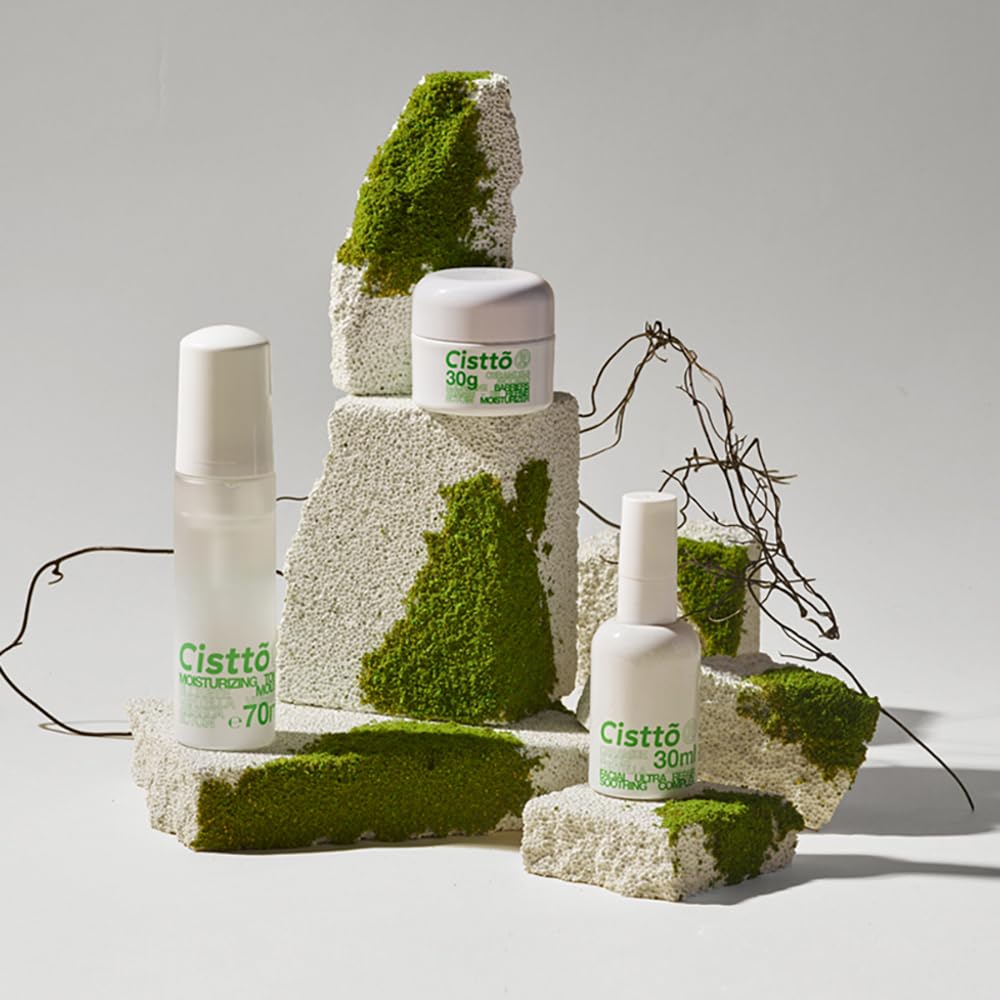 Exzycke 10PCS Original Design Product Photography Background Props Simulate Moss DIY Forest Scenes White Irregular Stones Geometric Cube Props for