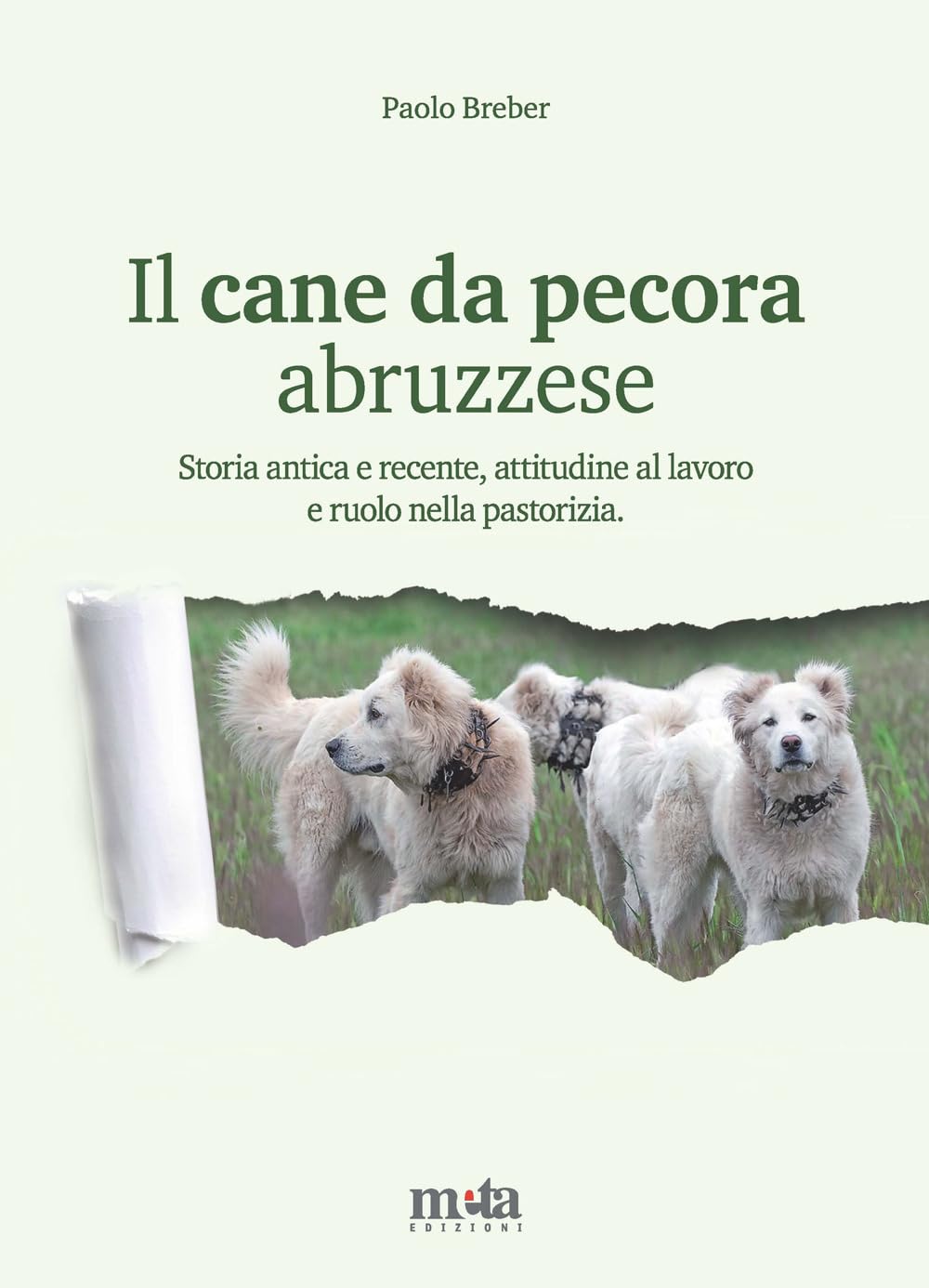 Il cane da pecora abruzzese. Storia antica e recente, attitudine al lavoro e ruolo nella pastorizia
