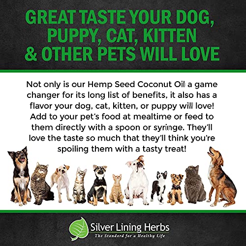 Silver Lining Herbs Coconut Oil for Dogs with Hemp Seed Oil | 8oz Bottle | Anti Itch & Hot Spot Treatment For Dogs Skin & Coat | Allergy Aid | Supports Immune System, Joints, & Digestion | Made in USA - Image 6