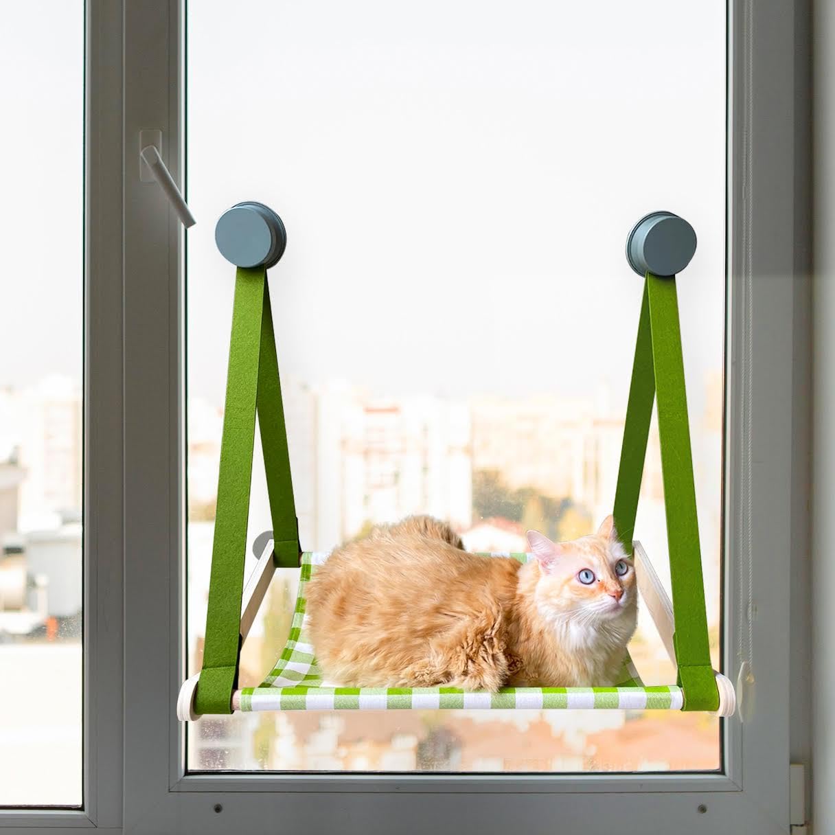 BRY COLLECTIONS-Hamaca para Gatos-ventosas Extra Fuertes y Regulables para Maxima sujeción-Cama para Gato fácil de Montar-Cama de Gato diseño Elegante y cómodo