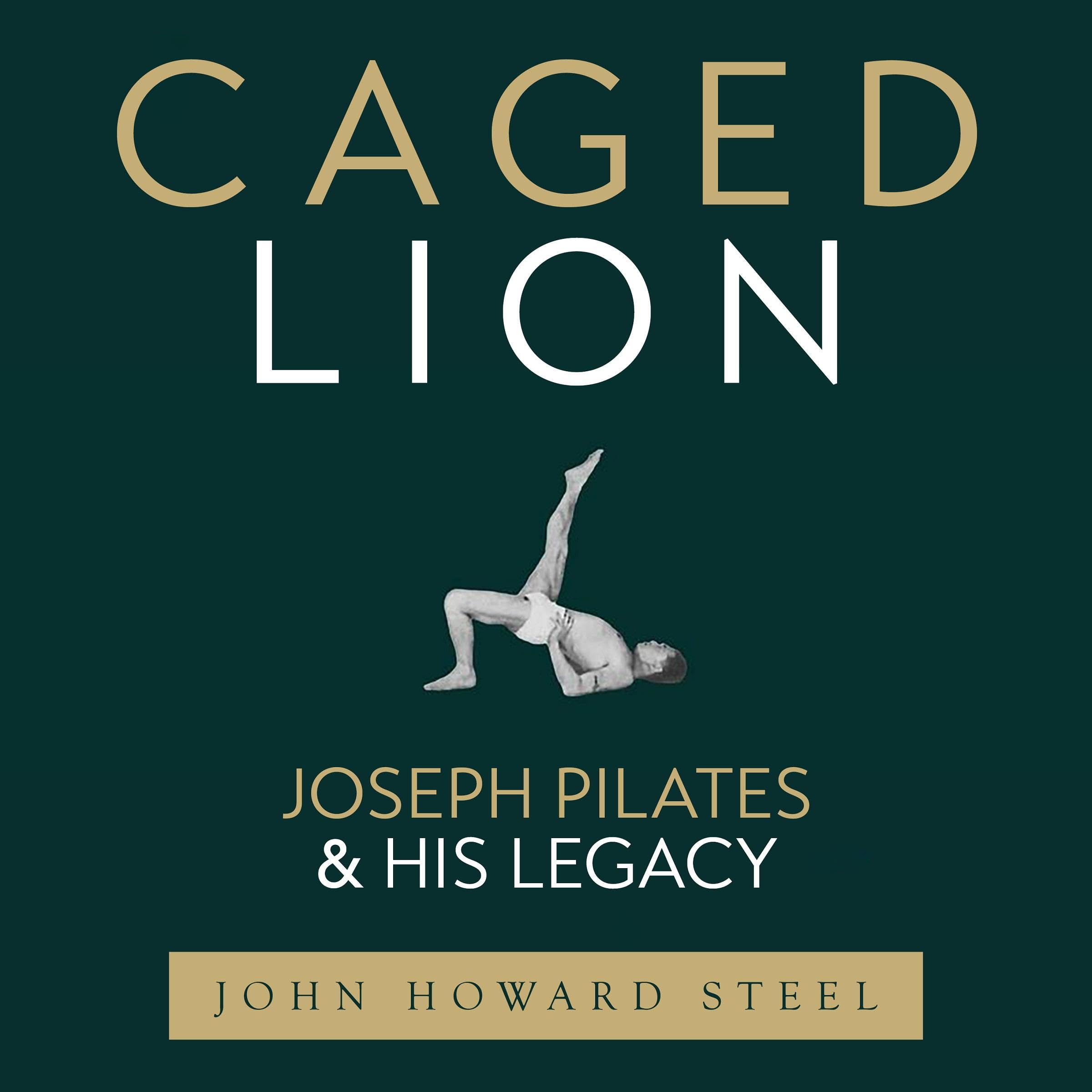 Caged Lion