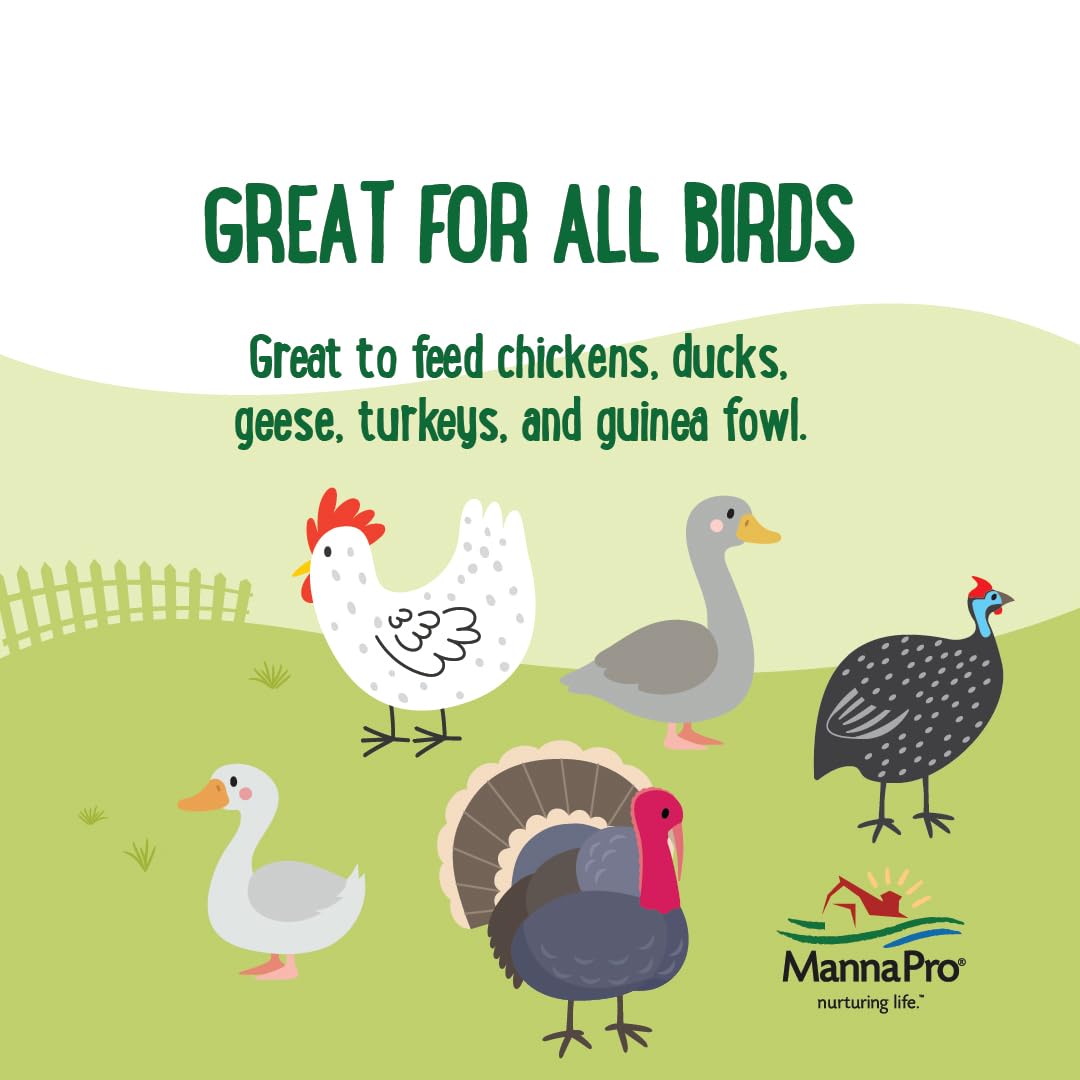 Manna Pro Farmhouse Favorites Critter Combo Crunch - Golosinas para Aves de Corral con proteínas Que promueve el Comportamiento Natural de la alimentación, Mezcla 100% Natural de Larvas Negras de
