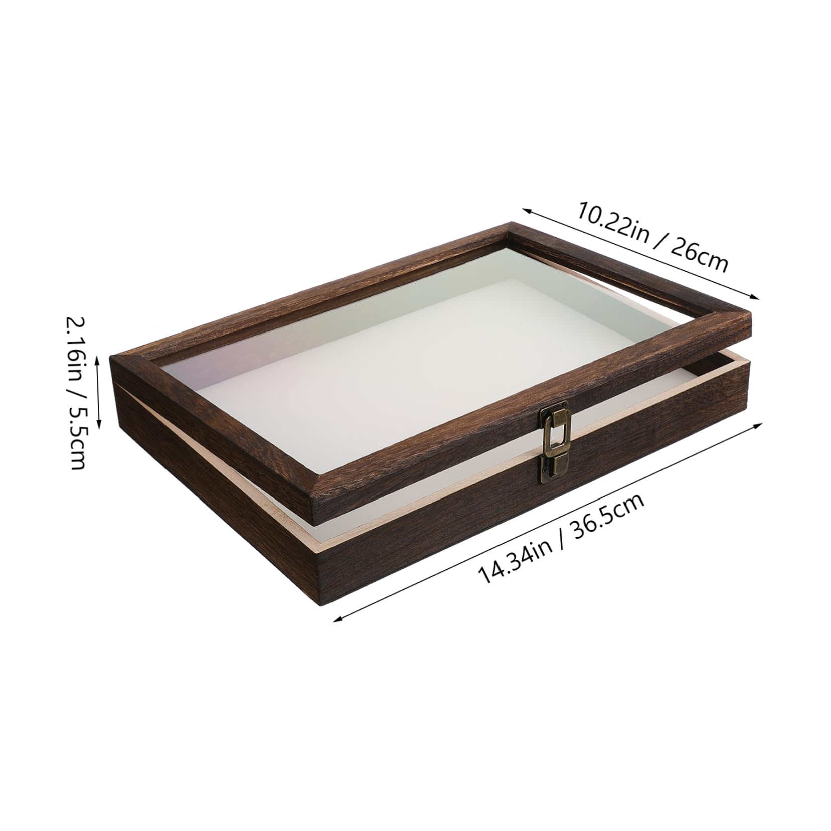 FUNOMOCYA Display Box with Lid Vintage for Insect Specimens Preservation Holder for Entomology and Butterfly