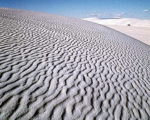 White Sands National Park, New Mexico 11x14 Photograph Photo Print