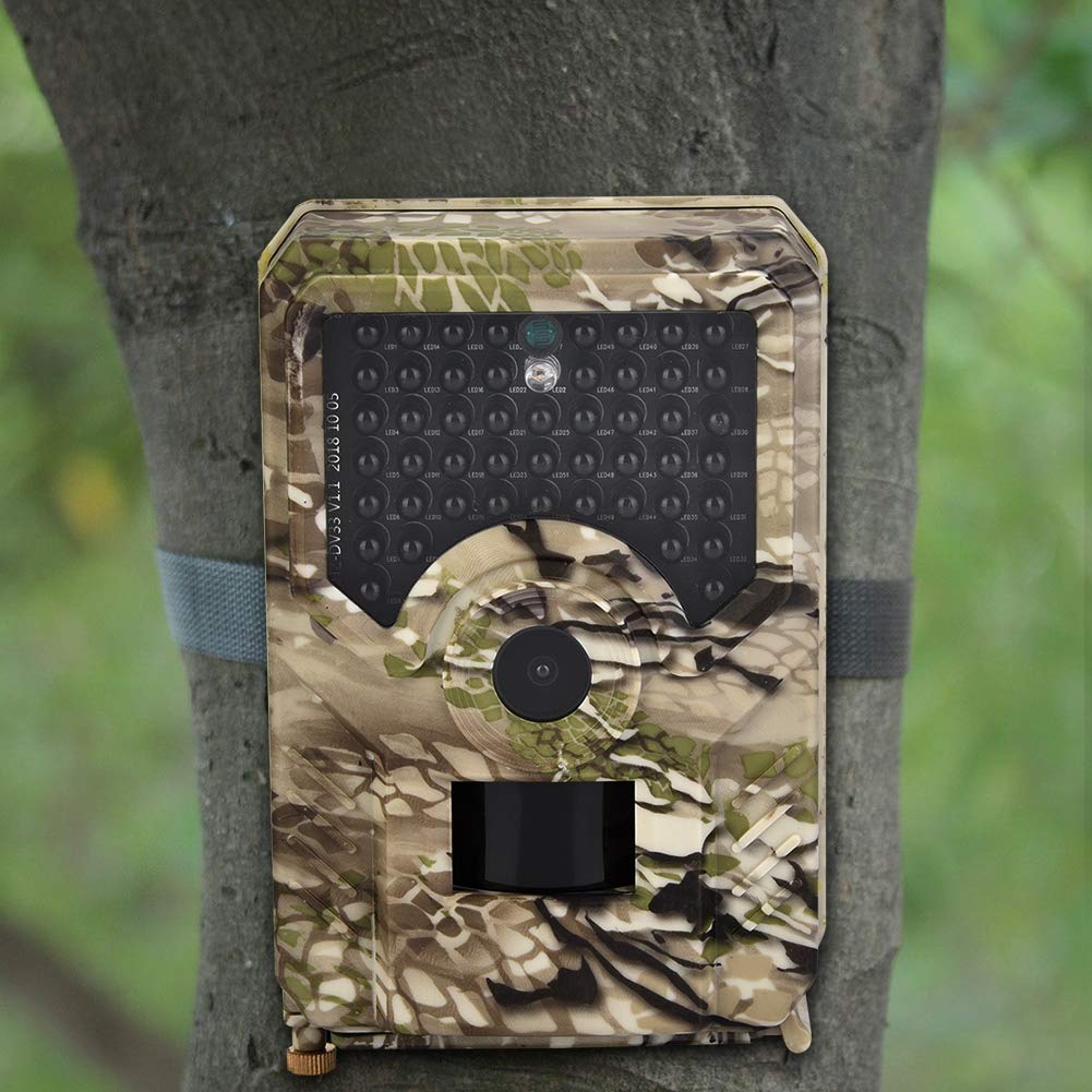 Bewinner Cámara de Caza, Cámara Impermeable para Ciervos, para Caza Y Observación de Animales, para Vigilancia de Seguridad Interior Y Exterior
