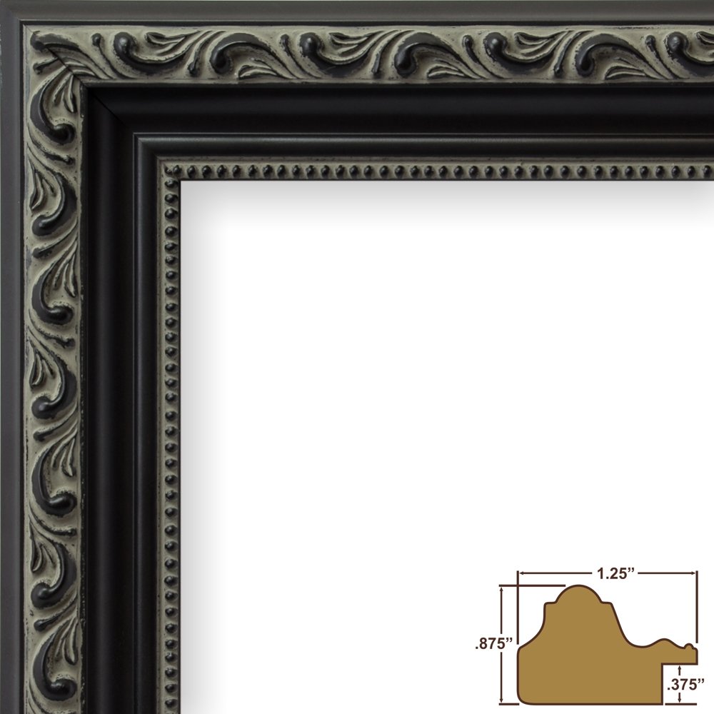 Amazon.com - Craig Frames Ancien Ornate, Antique Black Picture