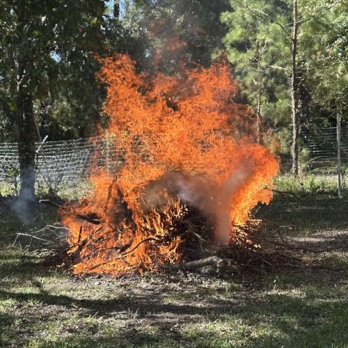 Fire Insurance