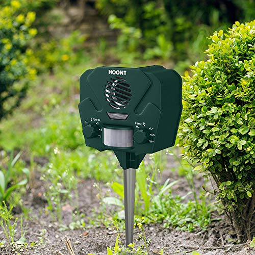 Do Ultrasonic Pest Repellents Work? Best Outdoor Ultrasonic Pest