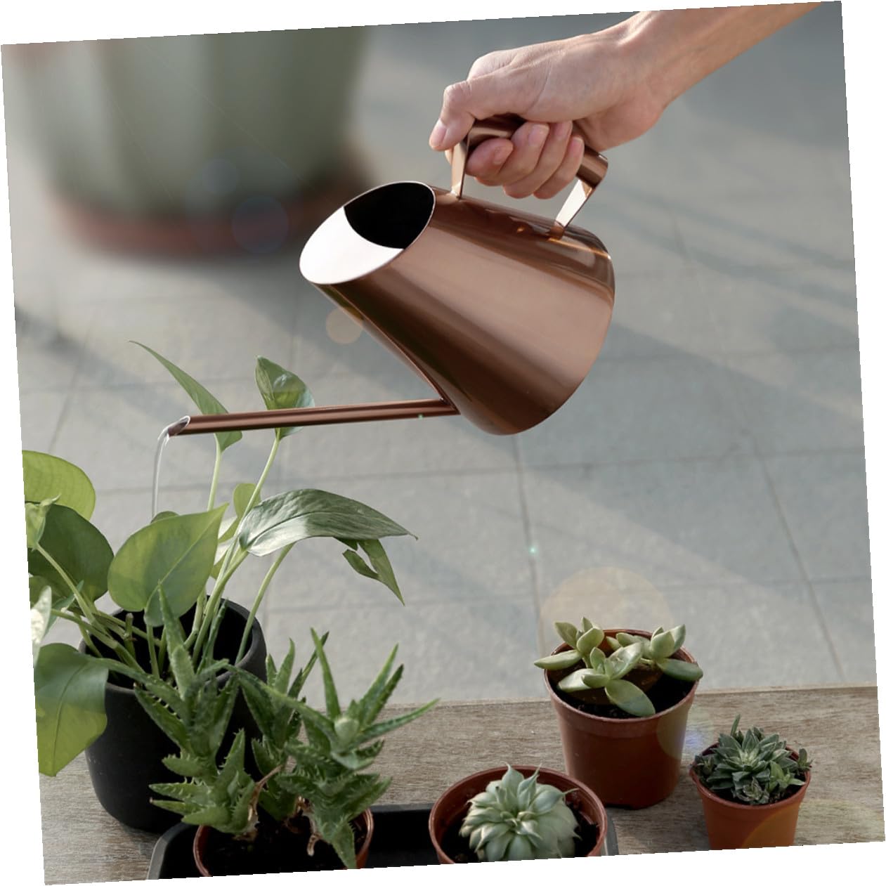Annaffiatoio in Acciaio Inossidabile da 1500ml Beccuccio per Piante e Fiori Resistente All'ingiallimento per Giardinaggio Indoor e Outdoor