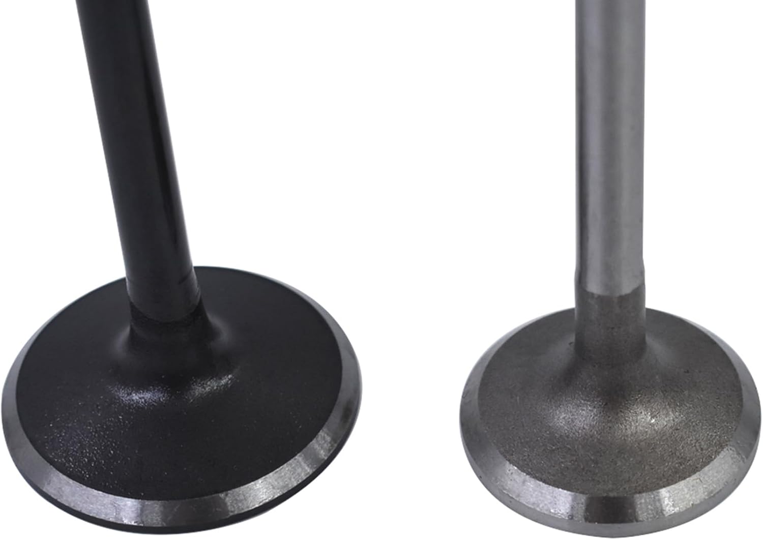 WFLNHB Intake and Air out Engine Valves Kit Replacement for Concorde Sebring Avenger Stratus 2.7L 2001-2010