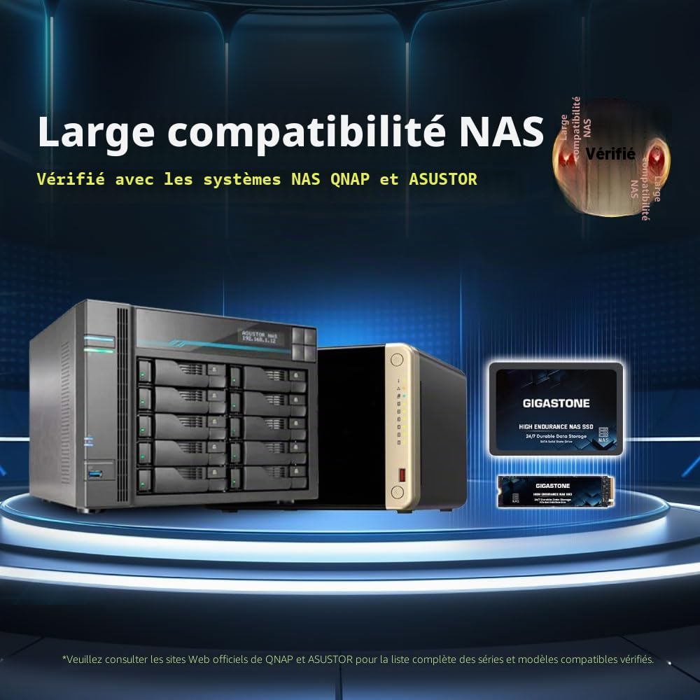 Gigastone Certifié NAS 4To NAS SSD Disque 24 h/24, 7 j/7 Durable Endurance élevée Raid Synchro sécurisée des données Cache de Stockage en réseau 2,5 Pouces SATA Disque Dur ssd Interne