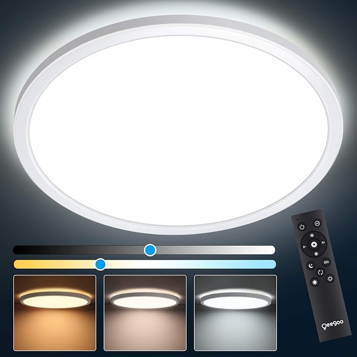Buy Oeegoo 12 Inch 24W LED Flush Mount Ceiling Light Fixture with Remote Control, Ultra Thin