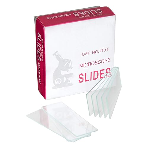 4-13051-72 Glass Gsc - Portaobjetos de microscopio prelimpiados, 0.984 in x 2.953 in, 2.99" de largo, 0.98" de ancho (paquete de 72)