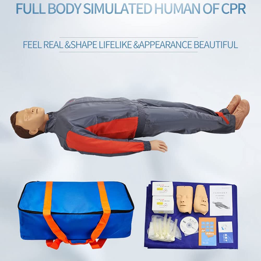 Amazon.co.jp: 心肺蘇生シミュレーター、蘇生マネキン、CPR