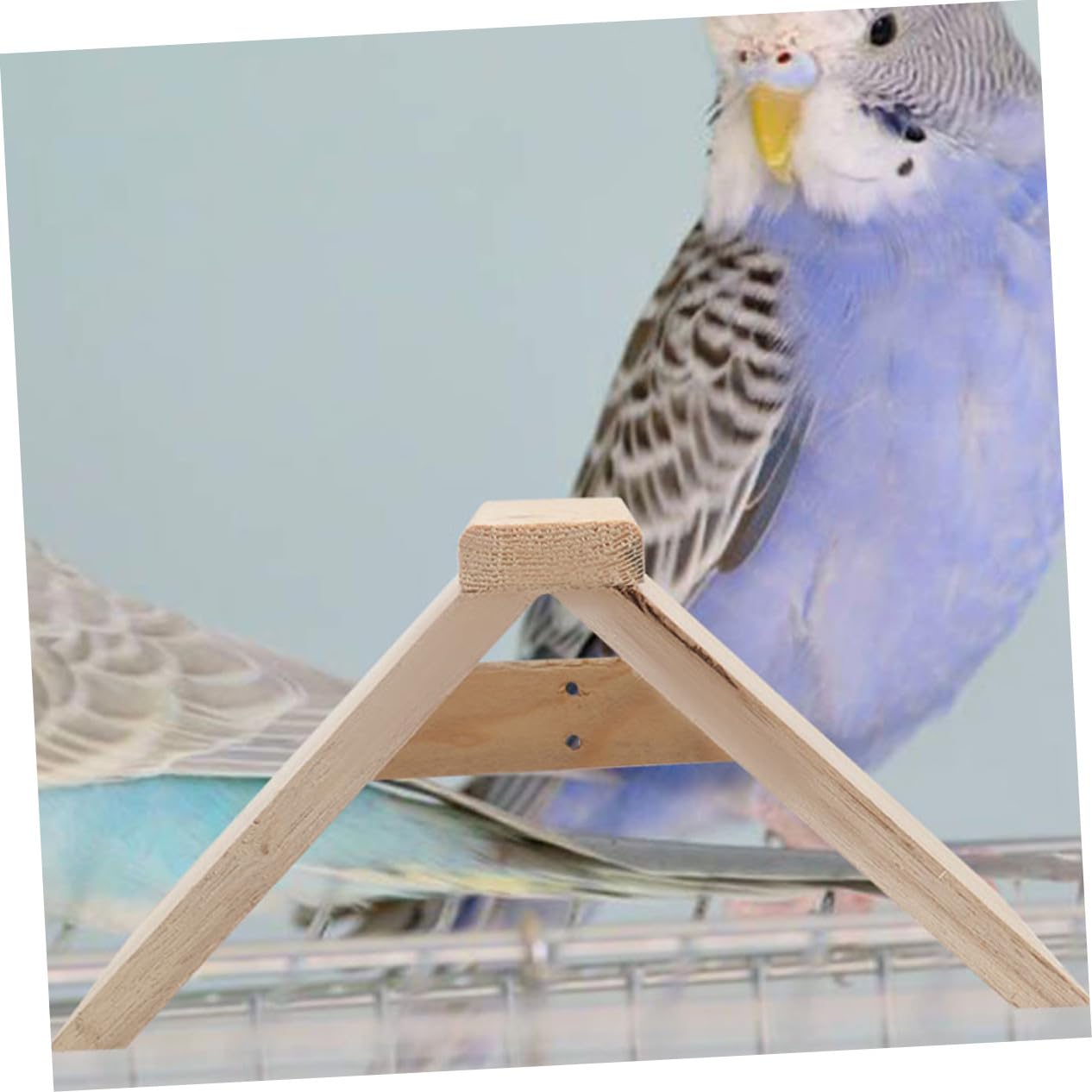 Abaodam 5 Stück Holz Sitzstangen Taubenstangen Vogelkäfigzubehör Papageienspielzeug Für Vögel Haustiere