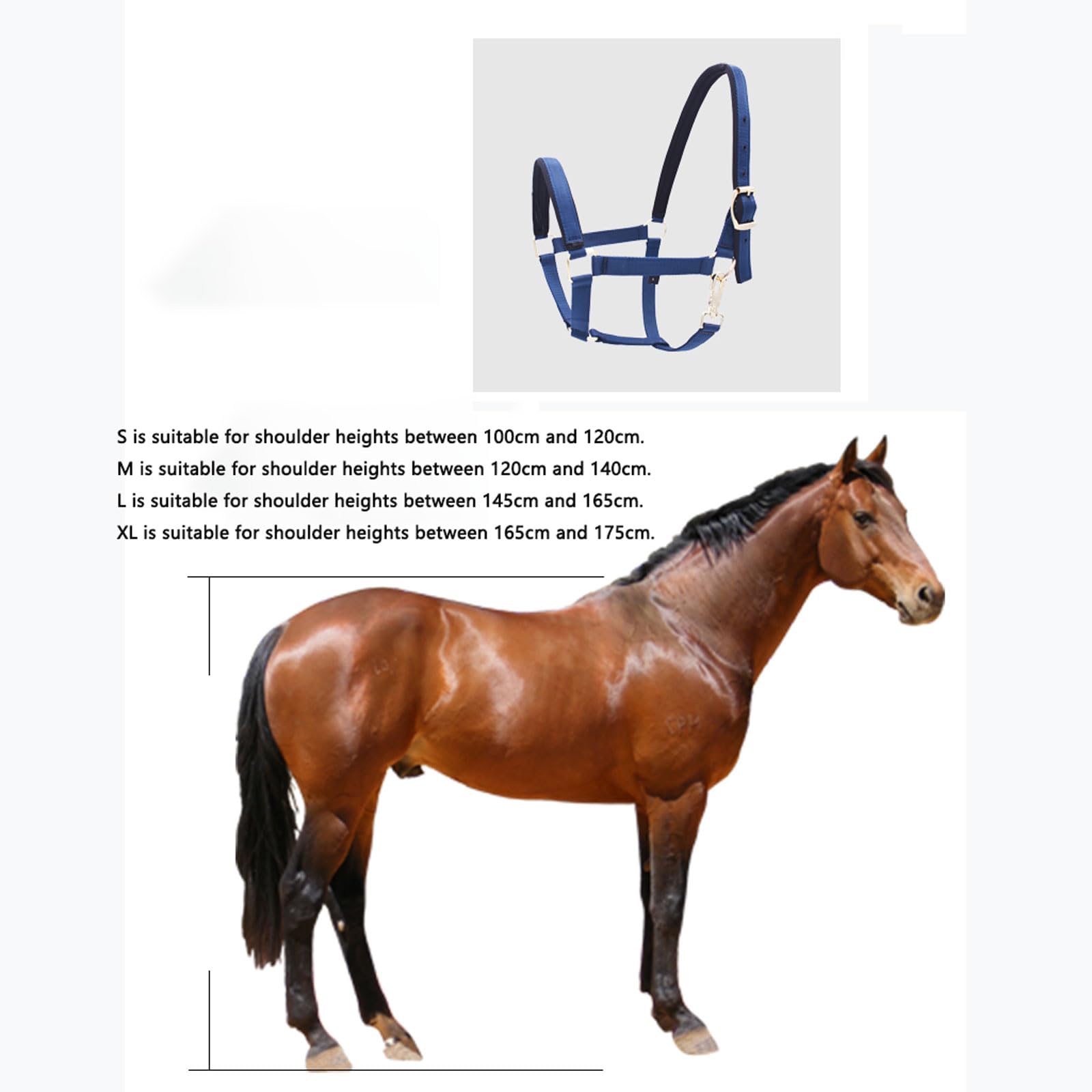 Pferdehalfter,4er-Pack -Fell Halfter unterlegt Halfter,Gepolstertes,verstellbares Kinn- und Halfter,Halfter für Pferde,Halfter Shetty,Pony,Vollblut,für Pferde