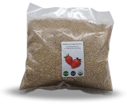 Avena cortada de acero (corte de acero), 5 libras (granos de avena, avena irlandesa), orgánica certificada por USDA, sin OMG, a granel, Mulberry