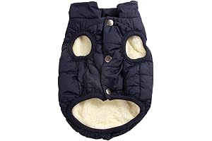 JoyDaog Warm Dog Jacket for Boys