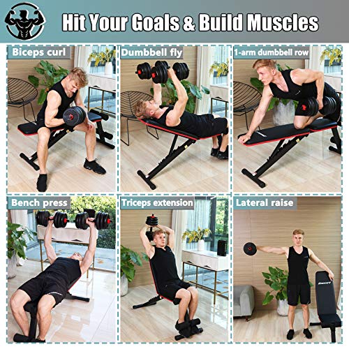 KOMSURF Workout Bench, Adjustable Weight Bench, Exercise Bench Press for Home Gym, Foldable Equipment Body Gym System, Strength Training Bench for Full Body Workout