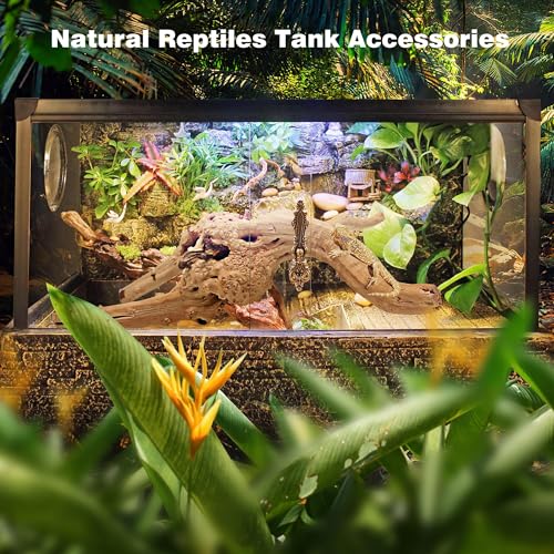 Image of WDEFUN Natural Spiderwood for Aquarium Decor 7-Piece 4''-8'' Long Natural Driftwood Branches for Fish Tank Decorations