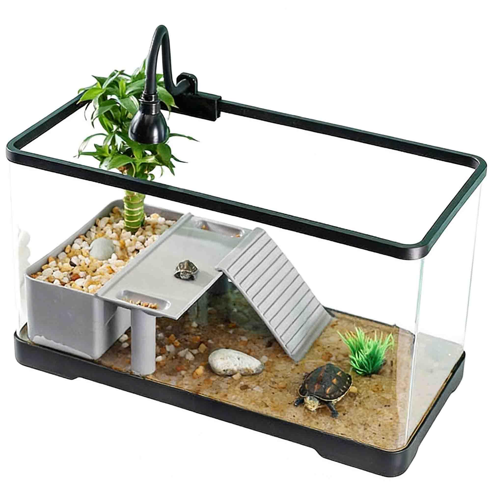 Podstawowy Terrarium Dla Gadów I Zestaw Dla Płazów, Klatka Nadająca Się Do Hodowli Jaszczurek, żółwi, Węży, Kameleonów I Pająków Skaczących