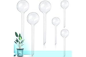 Self-Watering Plant Globes: The Perfect Solution for Plant Hydration