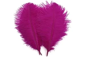 Ostrich Feather Tickler: Shekyeon Home Decor's Soft and Fluffy Emissary of Delight