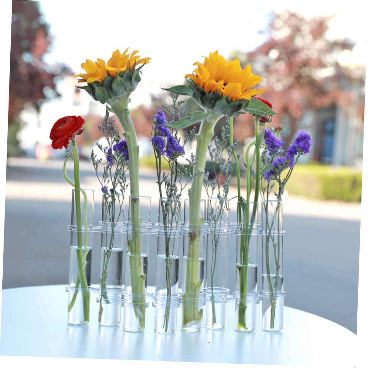 DECHOUS Vases Hydroponiques Verre Jardinières De Propagation pour Petites Plantes Terrarium Suspendu Intérieur pour Bureau Maison
