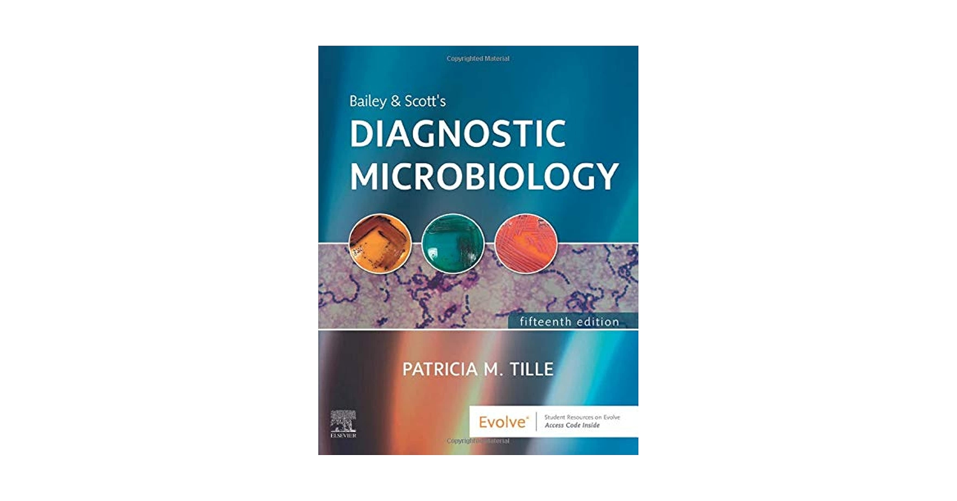 Bailey and Scott's Diagnostic Microbiology Test Bank Cover Bailey and Scott's Diagnostic Microbiology, (Tille, 2022) 15th Edition test bank cover - ISBN 9780323681063