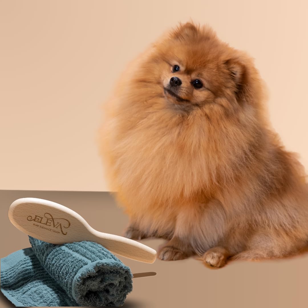 ELEVA PET - Spazzola per Cani in Legno - Denti in Acciaio - Toelettatura Professionale - Rimuove Nodi Senza Sforzo - per Pelo Lungo e Semilungo - Mantiene il Manto Pulito e Luminoso - Made in Italy