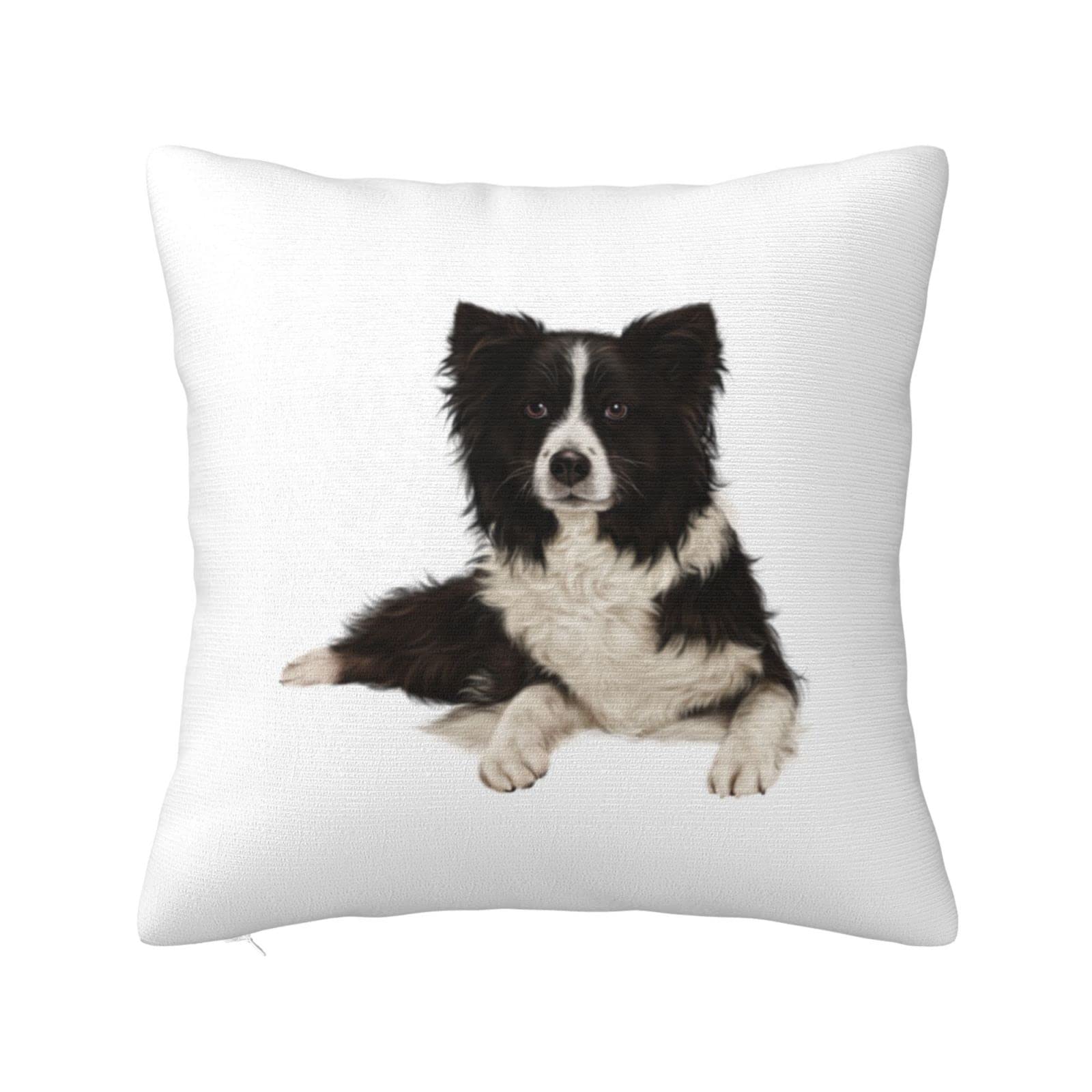 little organics soft toys