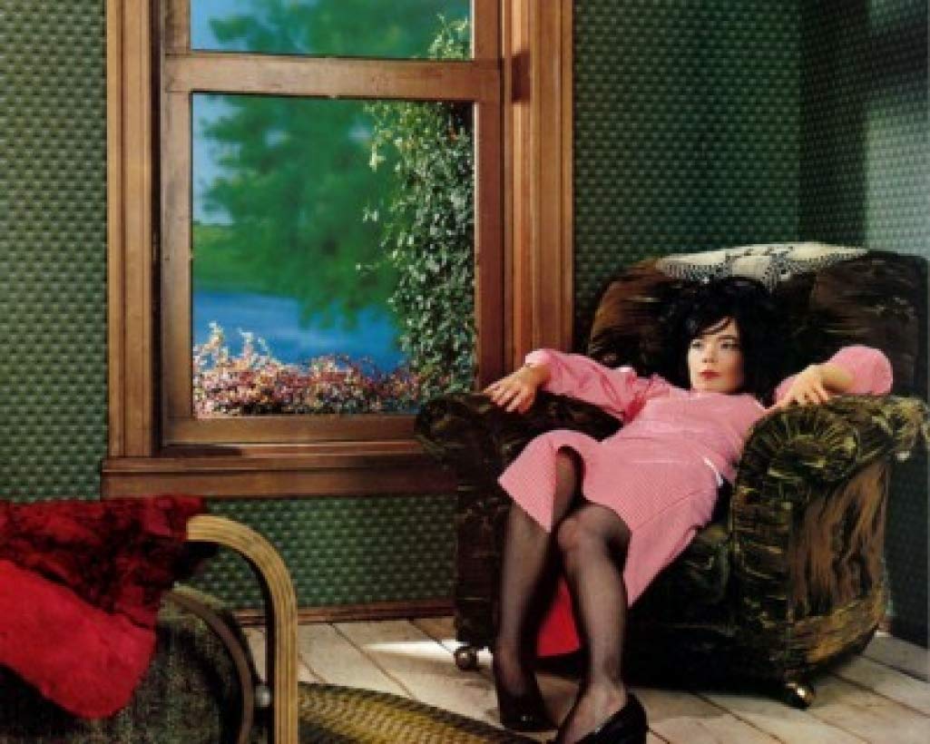 Warm Keepers Bjork - 36X48 Poster WKG #WKG15011